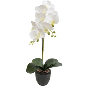Code LD7097-1